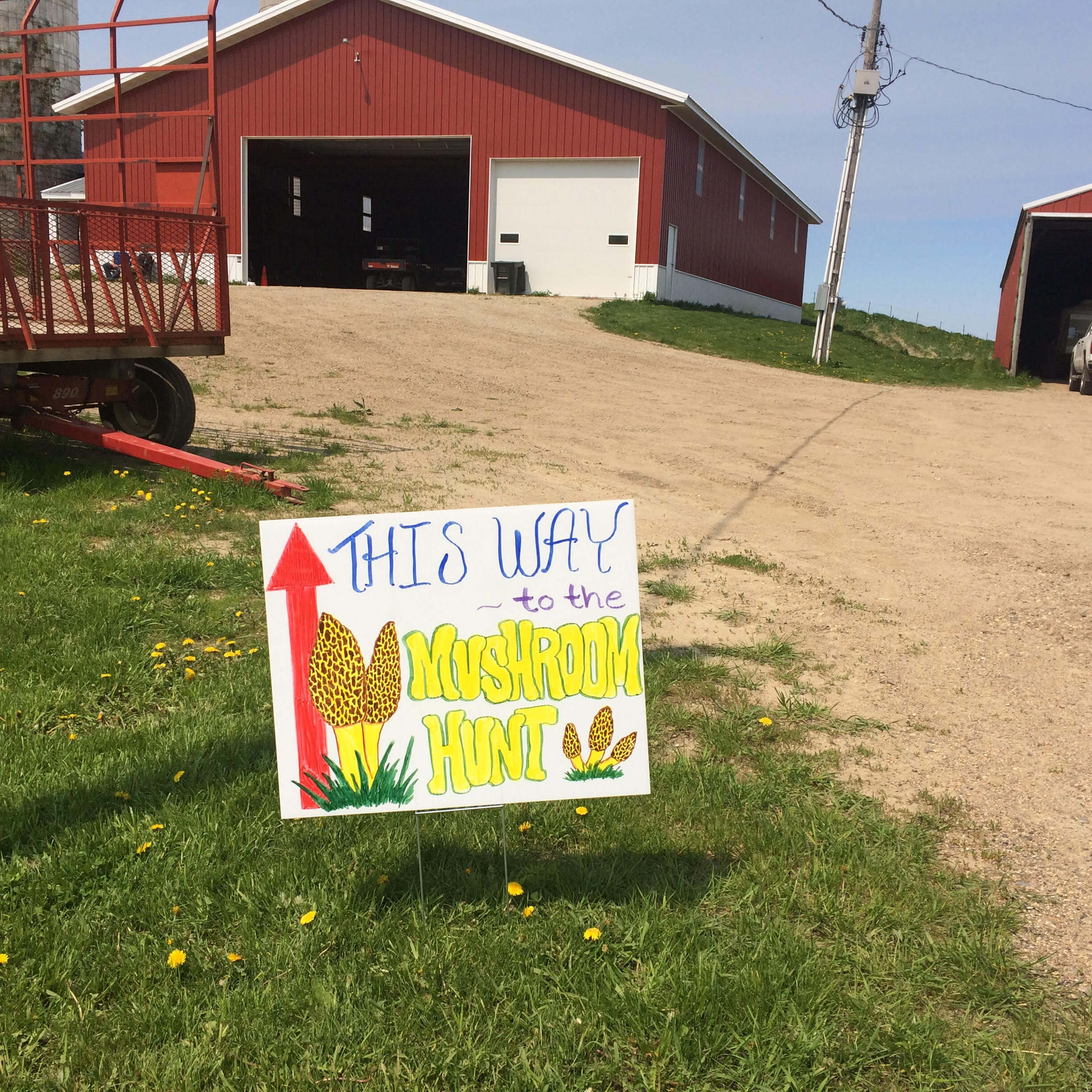 Morels & Memories Mushroom Hunt and Alzheimer's Fundraiser Cure